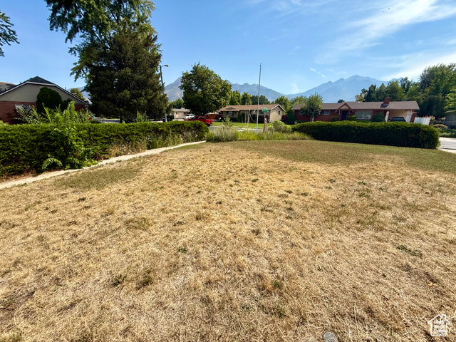 Photo 26 for MLS #2109109 at 1358 E Maplewood Cir