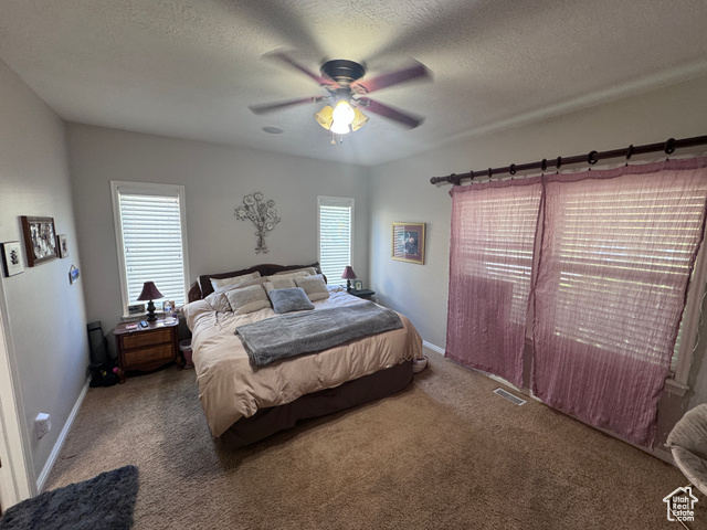 Photo 23 for MLS #2109131 at 4366 W Degray Dr
