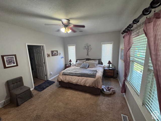 Photo 20 for MLS #2109131 at 4366 W Degray Dr