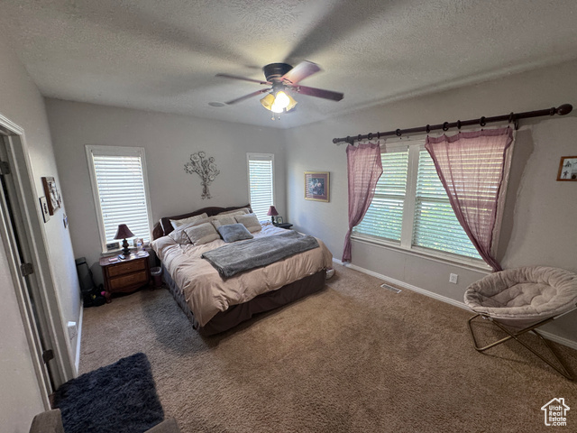 Photo 21 for MLS #2109131 at 4366 W Degray Dr