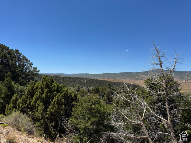 10  ELK HORN, Fairview UT 84629