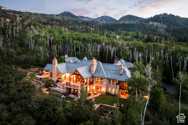 MLS #2109353 - 17 White Pine Canyon Rd
