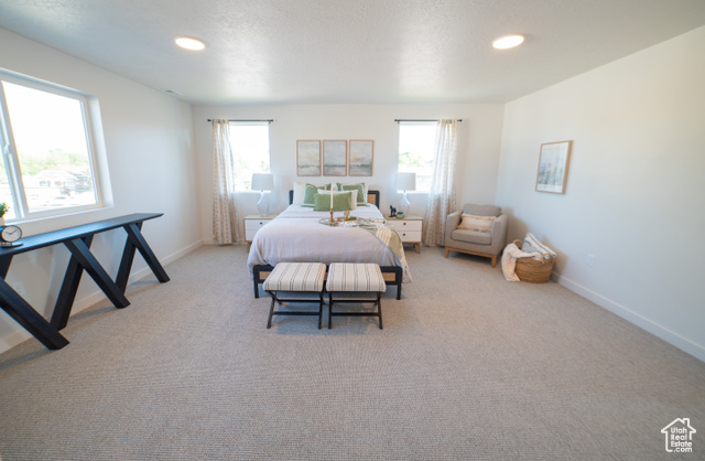 Photo 12 for MLS #2109558 at 3550 W Franco Court