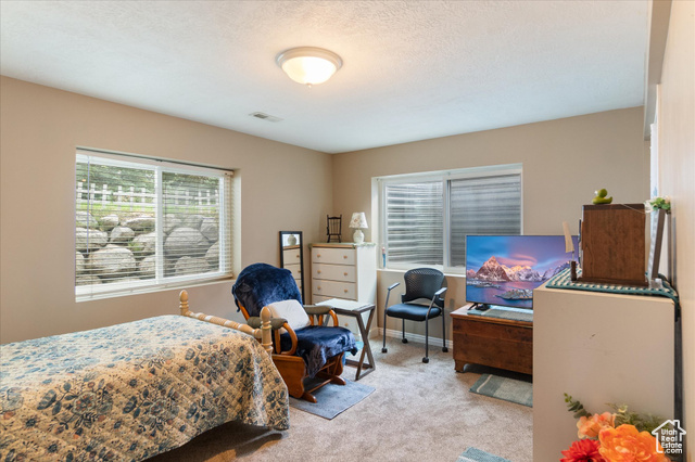 Photo 38 - 13826 S Tom Shoemaker Cir, Draper UT 84020