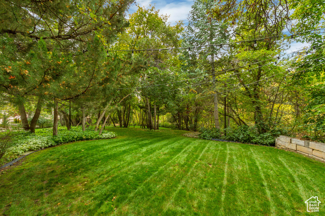 Photo 134 for MLS #2109830 at 13322 N Grove Dr