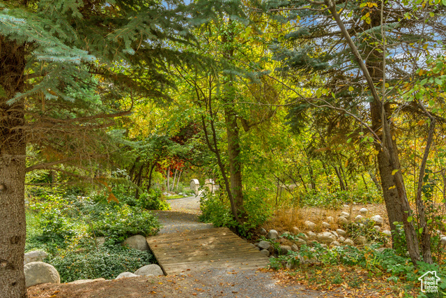 Photo 129 for MLS #2109830 at 13322 N Grove Dr