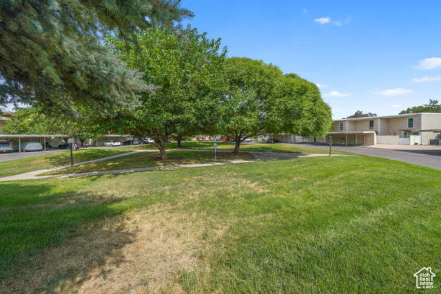 Photo 25 for MLS #2109834 at 5313 S Ben Davis Park