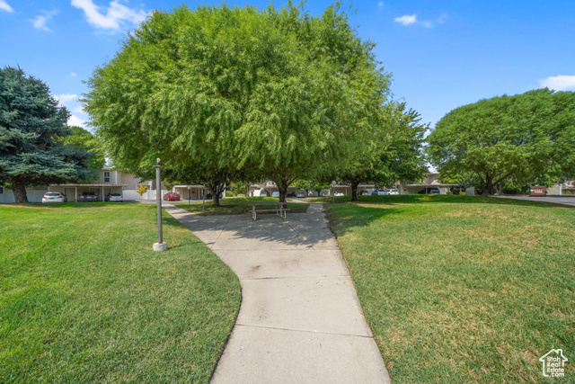 Photo 24 for MLS #2109834 at 5313 S Ben Davis Park