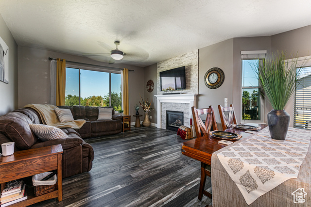 Photo 5 for MLS #2109882 at 13966 S Timber Ridge Dr