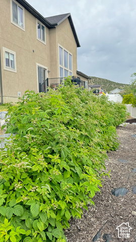 Photo 33 for MLS #2109897 at 3847 E Hollow Crest Dr