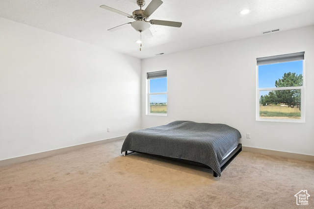 Photo 21 for MLS #2109898 at 3977 N Monarch Dr