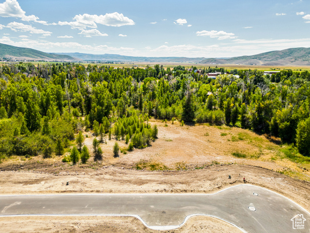 853  RIVER HAVEN RD, Oakley UT 84055