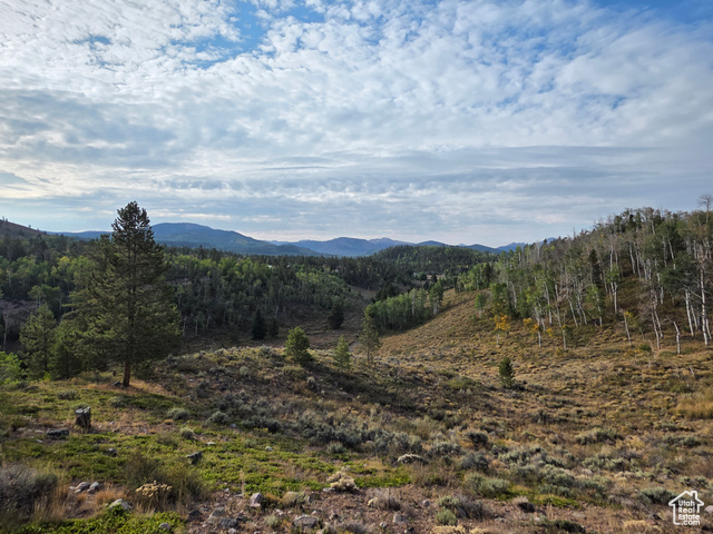 Photo 21 for MLS #2109905 at 5117 Alpine Rd