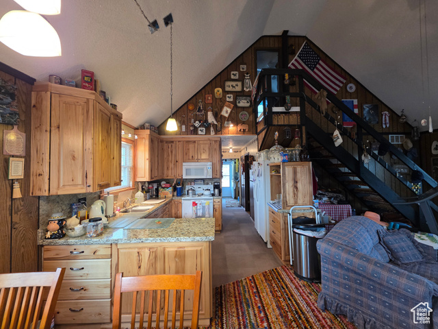 Photo 10 for MLS #2109905 at 5117 Alpine Rd