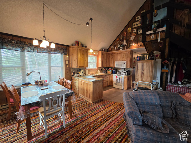 Photo 9 for MLS #2109905 at 5117 Alpine Rd