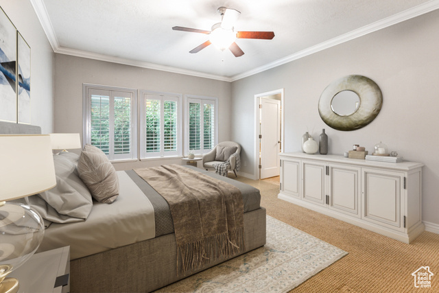 Photo 42 for MLS #2109913 at 4536 W Silent Rain Dr