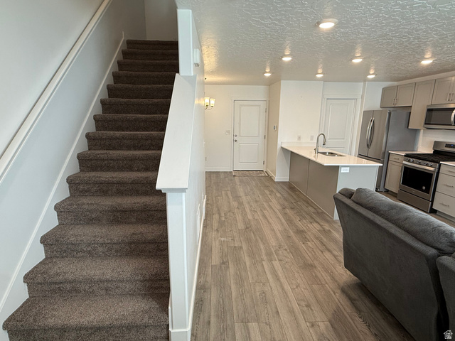 1113 E Bearing Dr
                     MLS #2109968