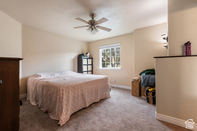 Photo 21 for MLS #2109994 at 802 Brookside Ct