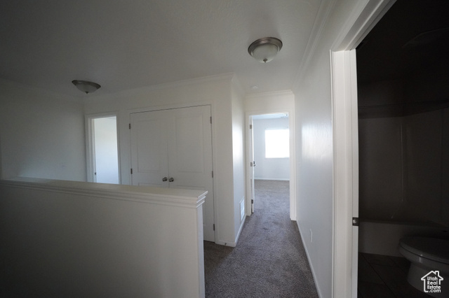 Photo 18 for MLS #2110124 at 4197 Cresthaven Ln