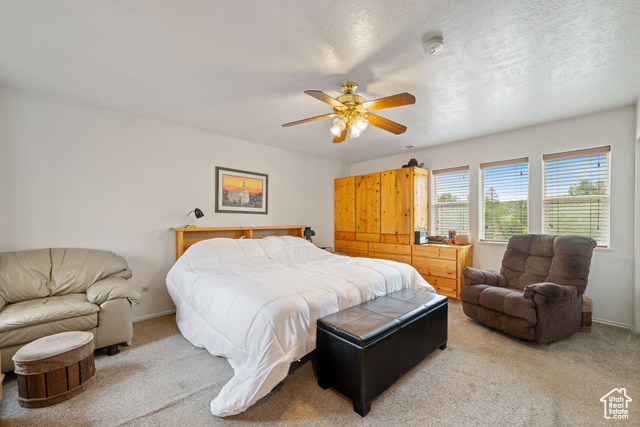 Photo 12 for MLS #2110150 at 635 N Cougar Ln