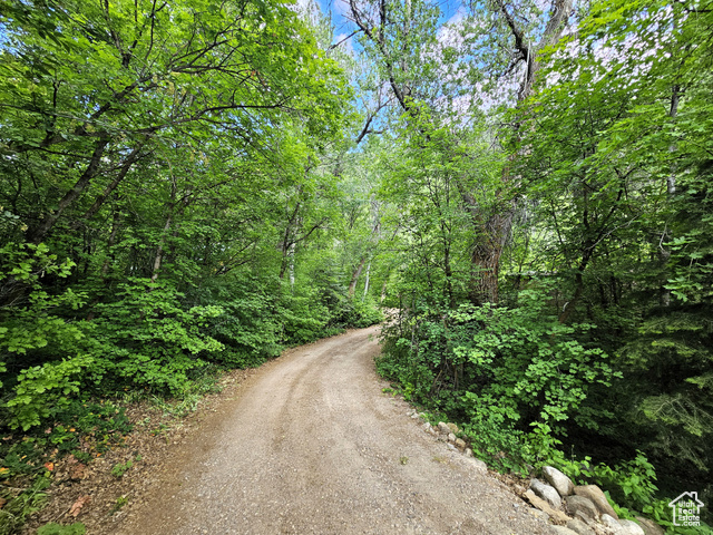 Photo 10 for MLS #2110218 at 26 Birch Creek Dr #D26