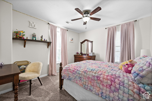 Photo 19 for MLS #2110232 at 2534 W Adelaide Dr