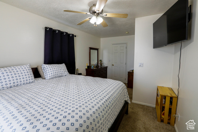Photo 12 for MLS #2110307 at 4731 Quickdraw Ln
