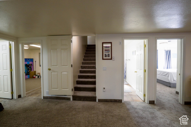 Photo 19 for MLS #2110307 at 4731 Quickdraw Ln