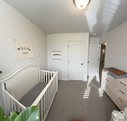 Photo 14 - 672 N 2560 East, Spanish Fork UT 84660