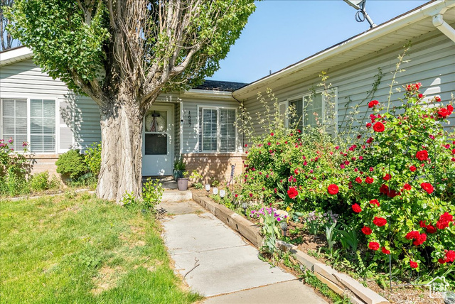 Photo 5 for MLS #2110593 at 1687 Kylee Ln