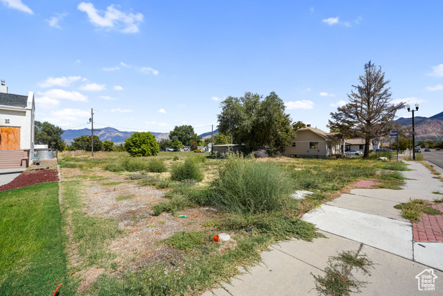 Photo 11 for MLS #2110599 at 768 W 24th St