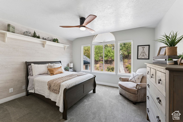 Photo 41 for MLS #2110679 at 2428 S Scenic Dr
