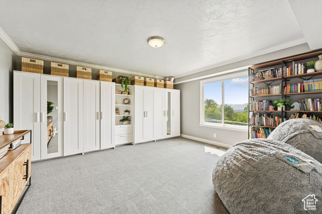 Photo 25 for MLS #2110679 at 2428 S Scenic Dr