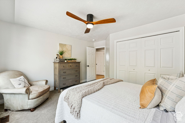 Photo 43 for MLS #2110679 at 2428 S Scenic Dr