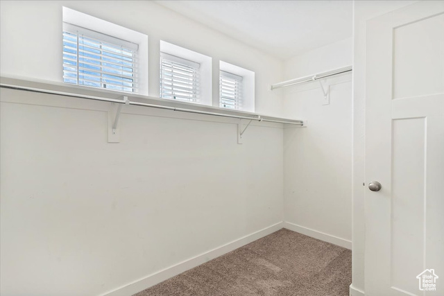 Photo 18 for MLS #2110730 at 3442 S Poplar Ln