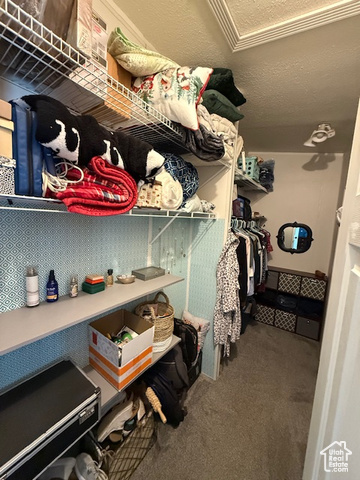 Photo 59 for MLS #2110750 at 723 E Rose Ln