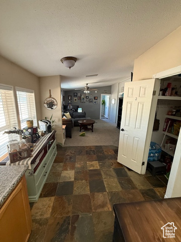 Photo 48 for MLS #2110750 at 723 E Rose Ln
