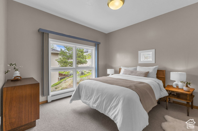 Photo 40 for MLS #2110804 at 2457 S Scenic Dr