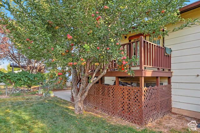 Photo 38 - 1265 E 550 South, Spanish Fork UT 84660