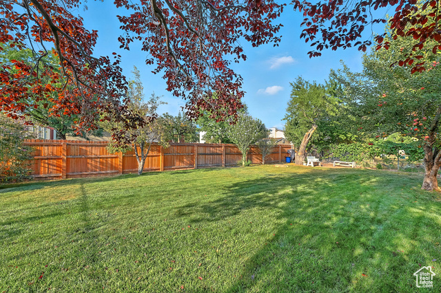 Photo 42 - 1265 E 550 South, Spanish Fork UT 84660