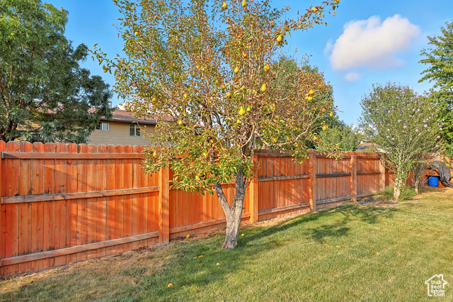 Photo 41 - 1265 E 550 South, Spanish Fork UT 84660