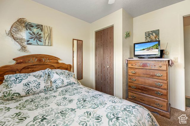 Photo 22 - 1265 E 550 South, Spanish Fork UT 84660