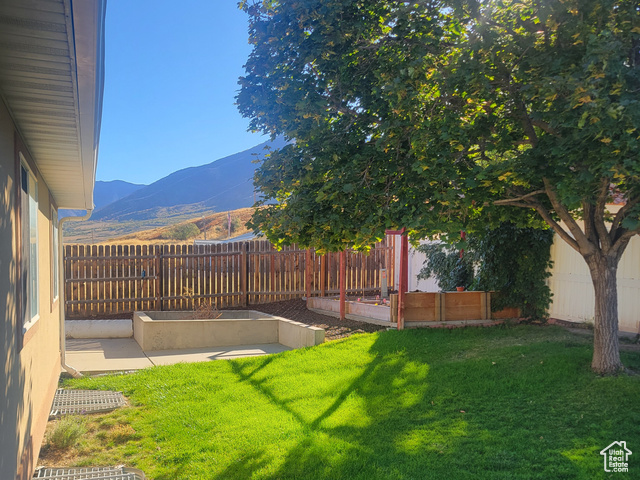 Photo 27 for MLS #2110909 at 828 E Vine St