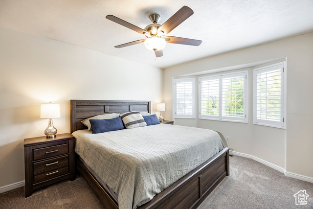 Photo 11 for MLS #2110942 at 366 E Sandy Park Cir