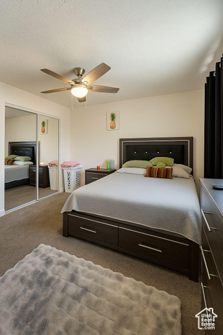Photo 9 for MLS #2110960 at 2993 S Maple Way