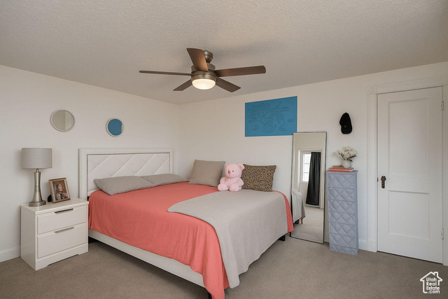 Photo 10 for MLS #2110960 at 2993 S Maple Way