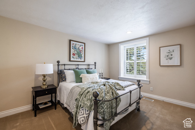 Photo 14 - 3732 E Millcreek Canyon Rd, Salt Lake City UT 84109