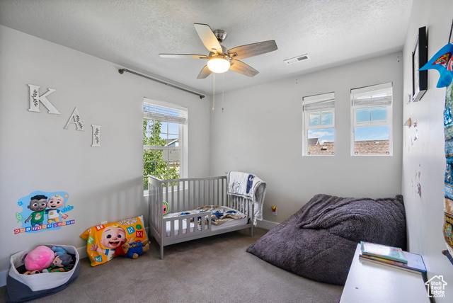 Photo 21 - 4948 W Beach Comber Way, South Jordan UT 84009