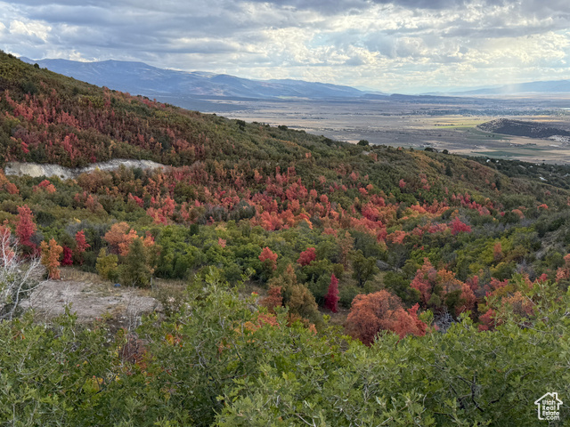 1  ARCHIES HIDEAWAY, Fairview UT 84629