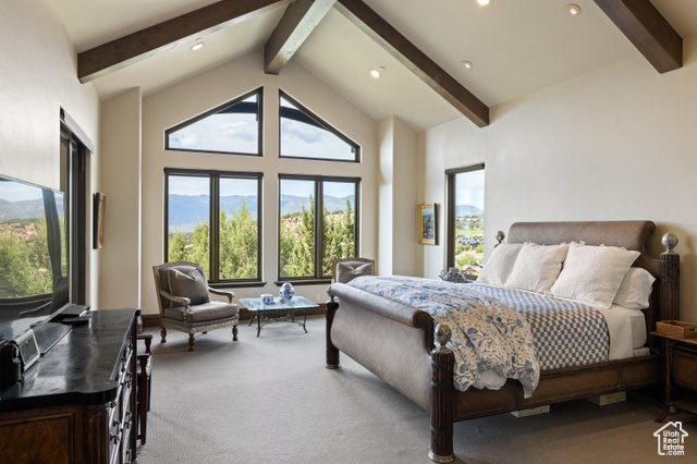 Photo 17 - 223 N Ibapah Peak Dr #129, Heber City UT 84032